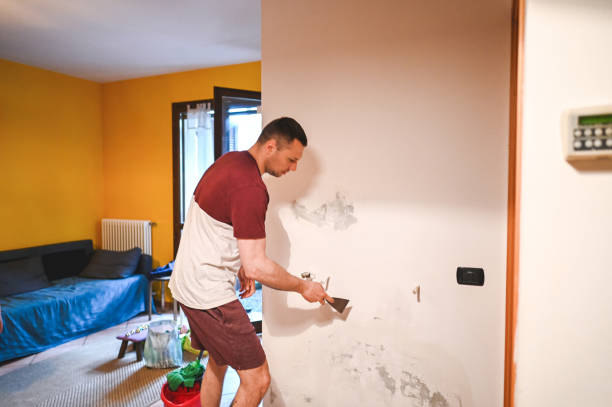 Best Kitchen Mold Remediation in Quincy, IL